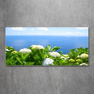 Bild auf glas Blumen am Meer