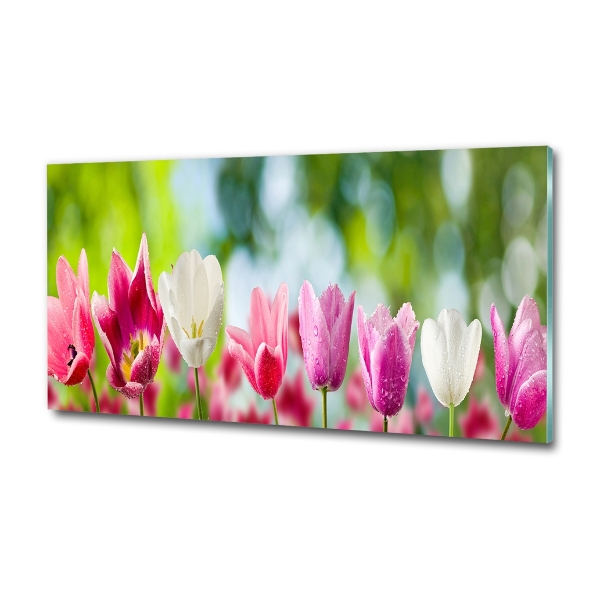 Bild auf glas Tulpen