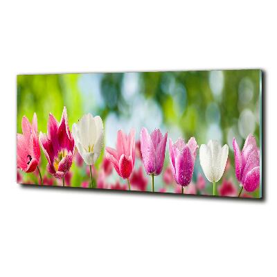 Bild auf glas Tulpen