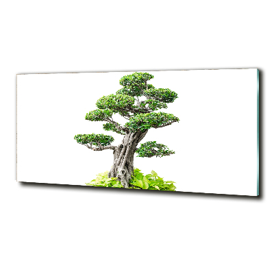 Glasbild Bonsai-Baum