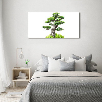 Glasbild Bonsai-Baum