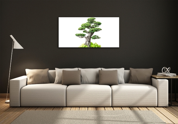 Glasbild Bonsai-Baum