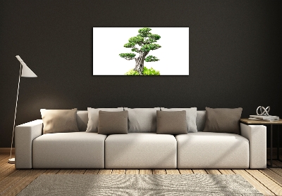 Glasbild Bonsai-Baum