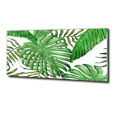 Foto glasbild Tropische Blätter