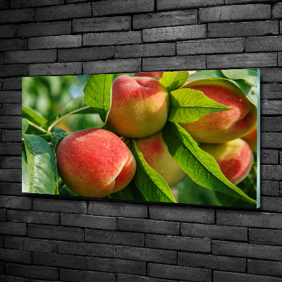 Glasbild Pfirsiche