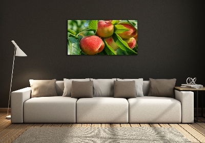 Glasbild Pfirsiche