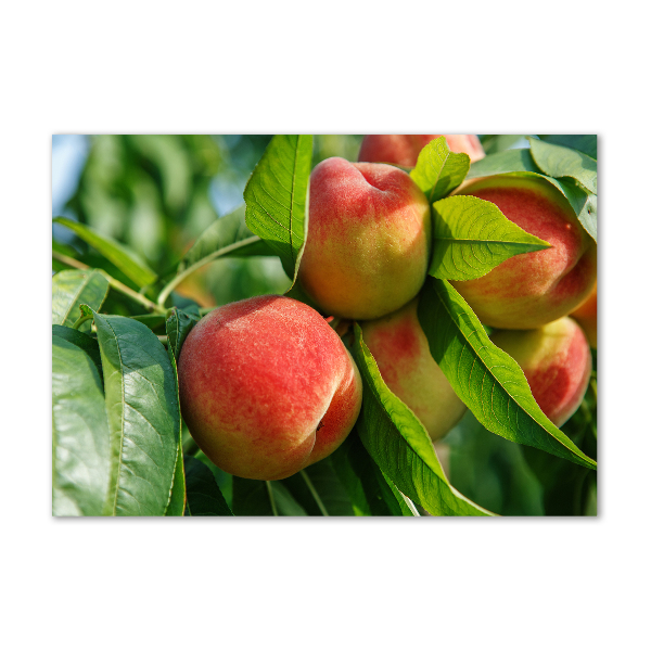 Glasbild Pfirsiche