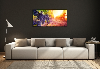 Glasbild Weinreben