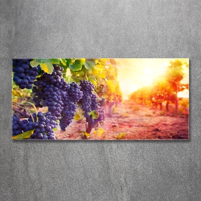 Glasbild Weinreben