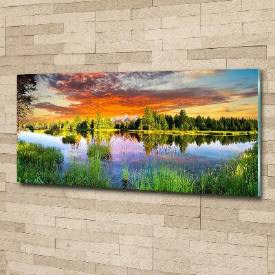 Bild auf glas Fluss im Wald