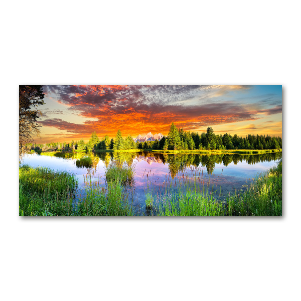 Bild auf glas Fluss im Wald