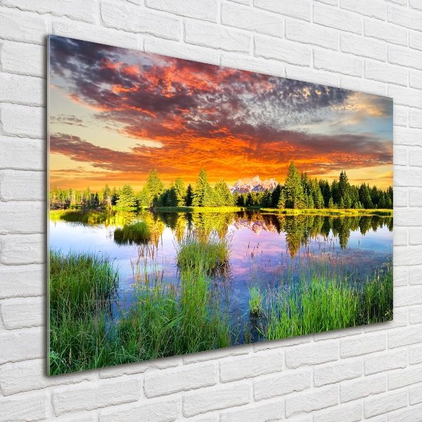 Bild auf glas Fluss im Wald