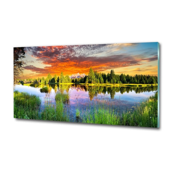 Bild auf glas Fluss im Wald