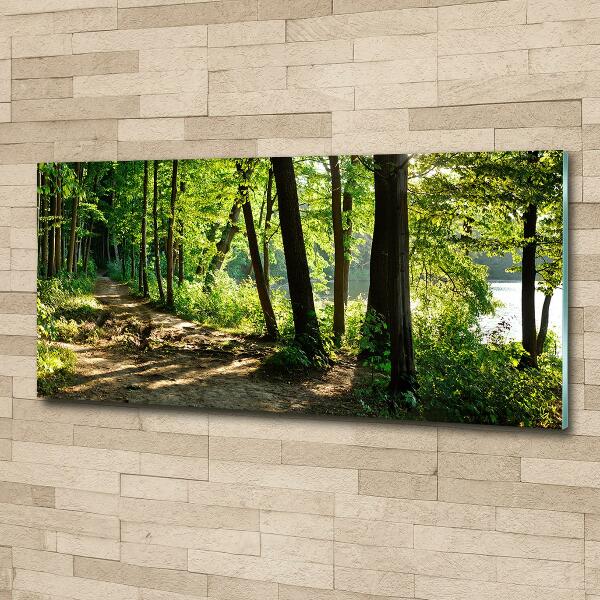 Glasbild Pfad in der Wiese