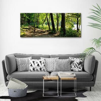 Glasbild Pfad in der Wiese