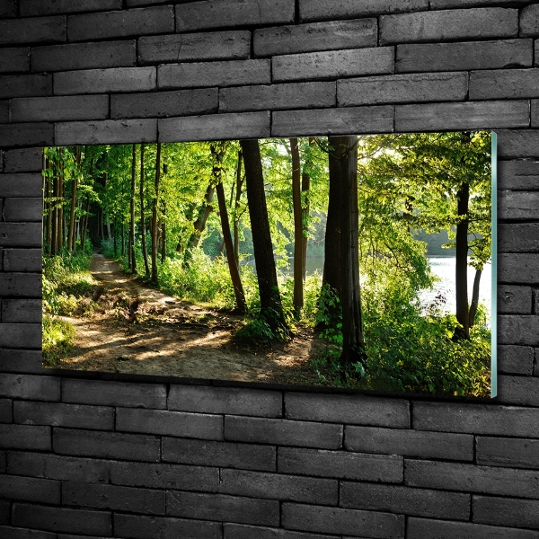 Glasbild Pfad in der Wiese