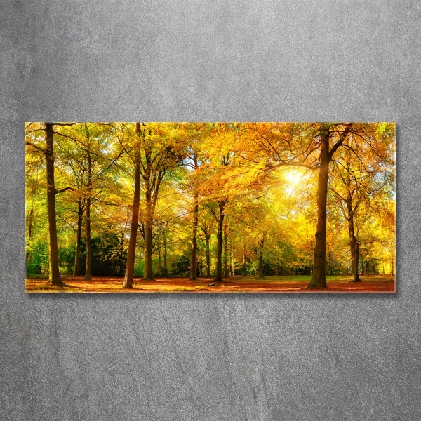 Bild auf glas Wald im Herbst