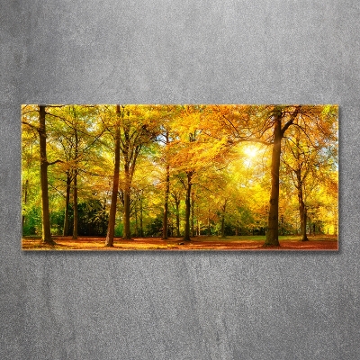 Bild auf glas Wald im Herbst