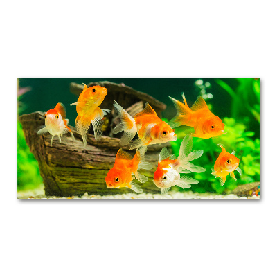 Glasbild Goldfisch