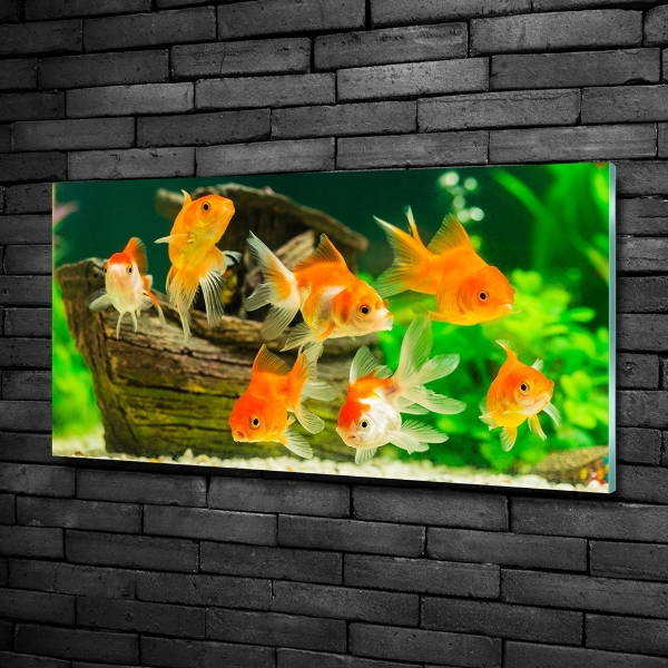 Glasbild Goldfisch