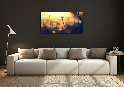 Foto glasbild Löwenzahn