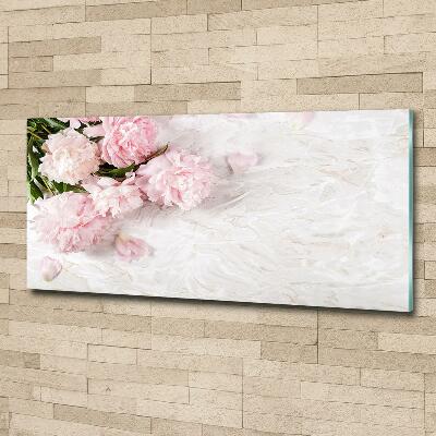 Bild auf glas Pfingstrosen