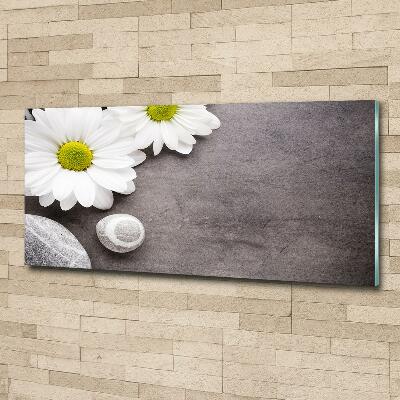 Foto glasbild Gerbera