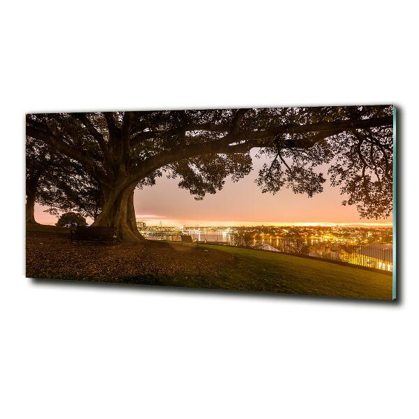 Foto glasbild Alter Baum