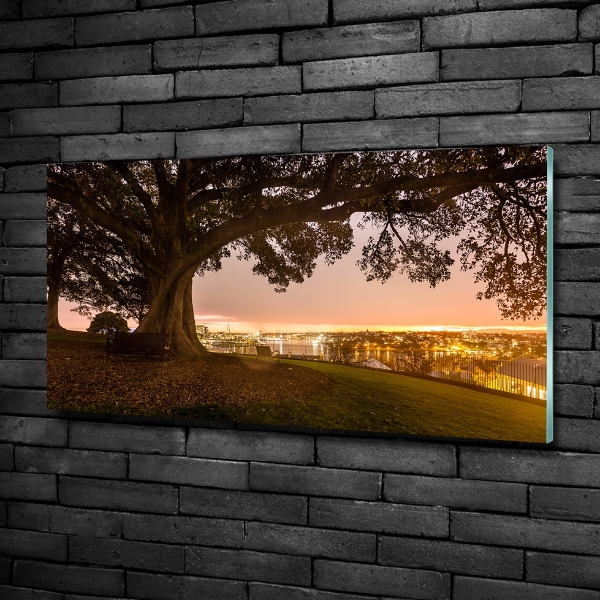 Foto glasbild Alter Baum