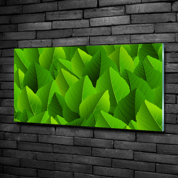 Glasbild Grüne Blätter