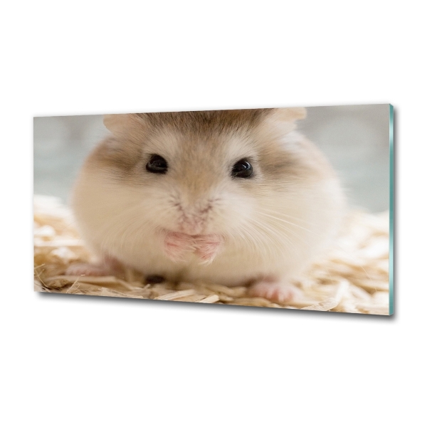 Foto glasbild Hamster