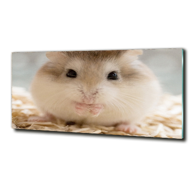 Foto glasbild Hamster