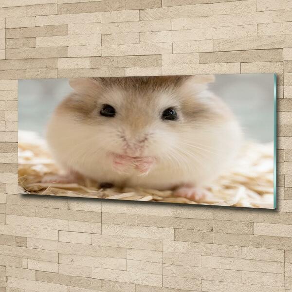 Foto glasbild Hamster