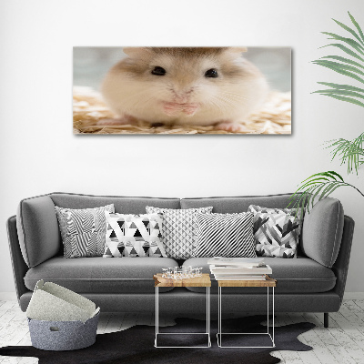 Foto glasbild Hamster