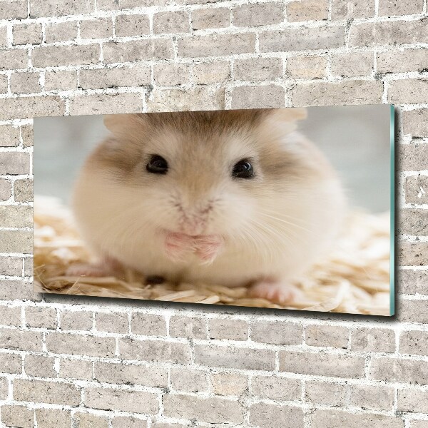 Foto glasbild Hamster
