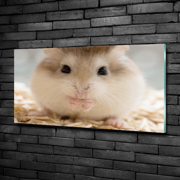 Foto glasbild Hamster