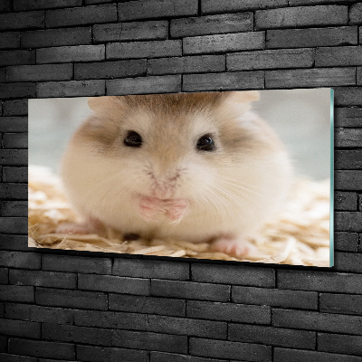 Foto glasbild Hamster