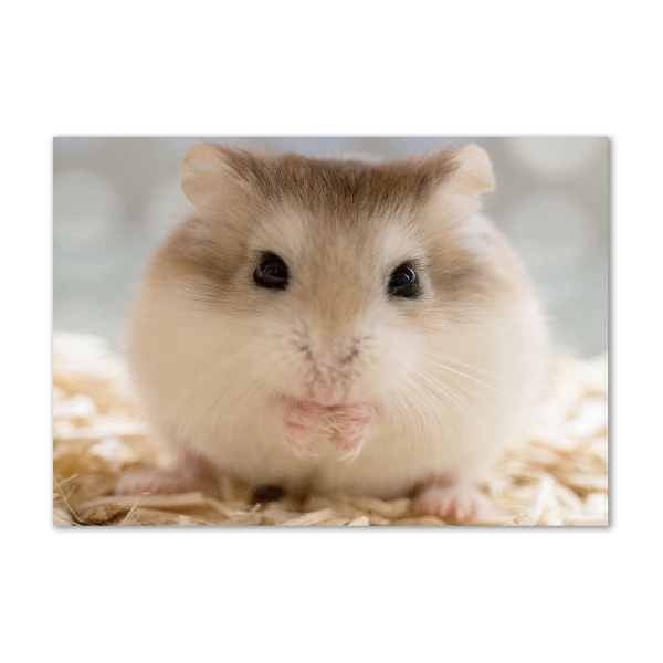 Foto glasbild Hamster