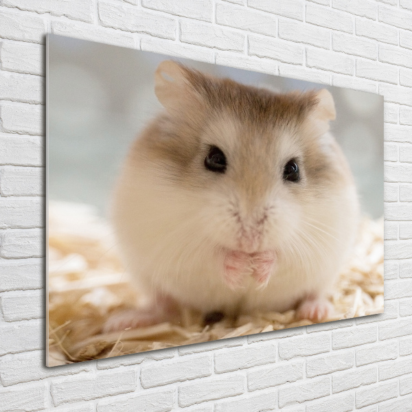 Foto glasbild Hamster