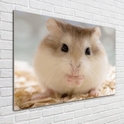 Foto glasbild Hamster