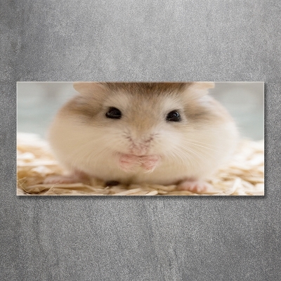 Foto glasbild Hamster