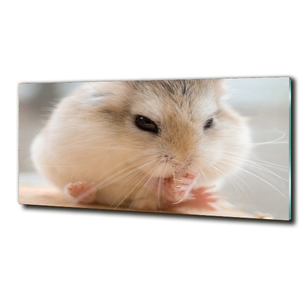 Bild auf glas Hamster