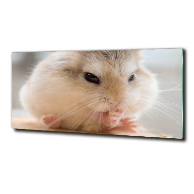 Bild auf glas Hamster