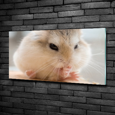 Bild auf glas Hamster