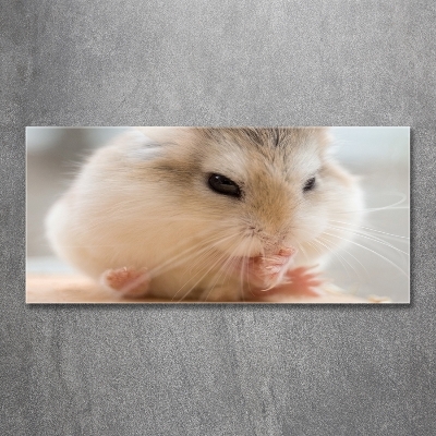 Bild auf glas Hamster
