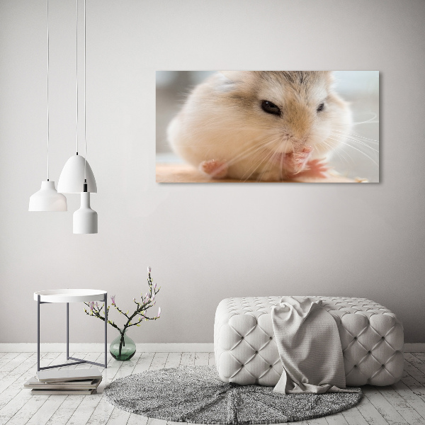 Bild auf glas Hamster