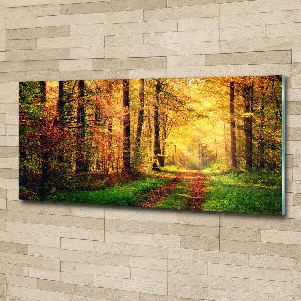 Glasbild Wald im Herbst