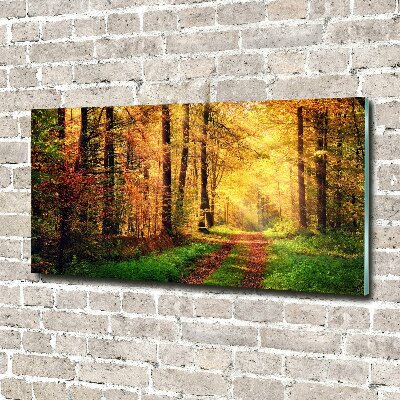 Glasbild Wald im Herbst