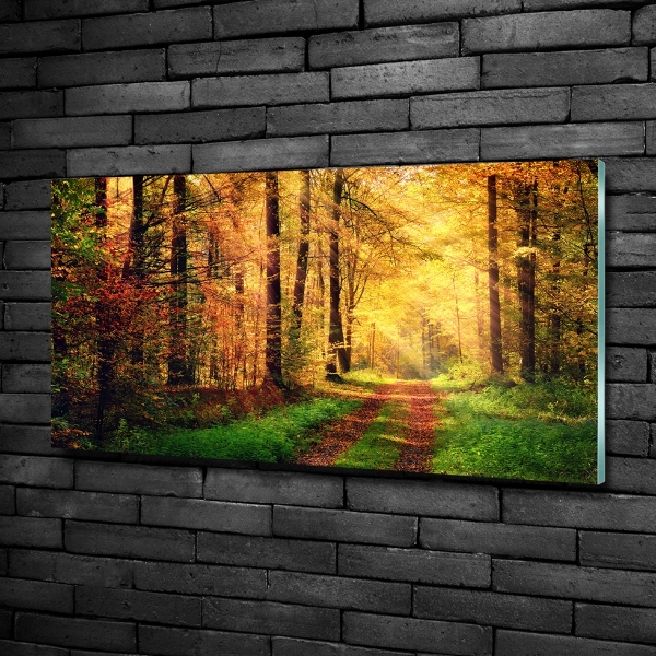 Glasbild Wald im Herbst