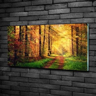 Glasbild Wald im Herbst
